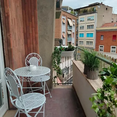 Centro Terni